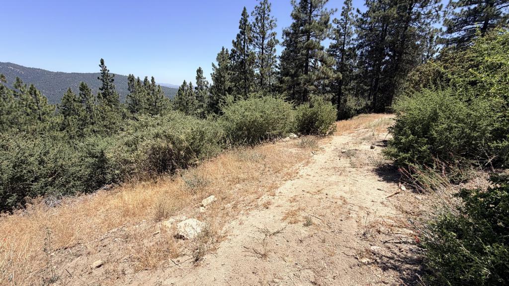 0 Big Rock Property Photo 3