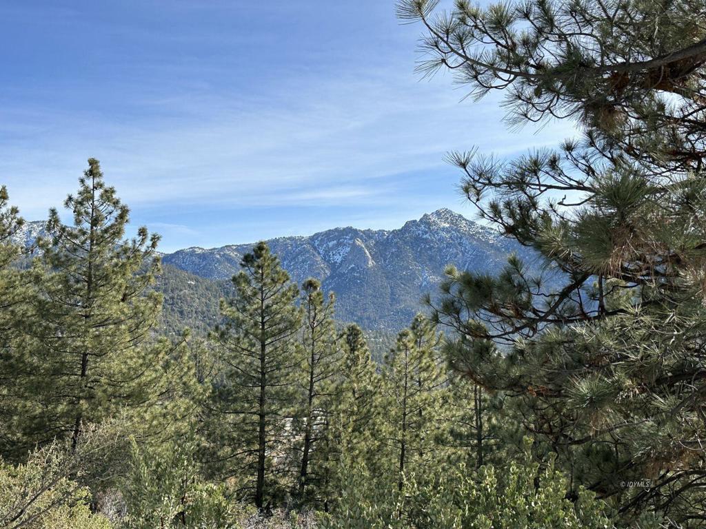 0 Big Rock Property Photo 4