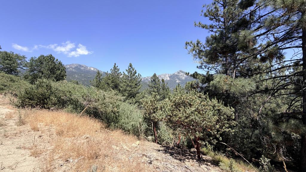 0 Big Rock Property Photo 5