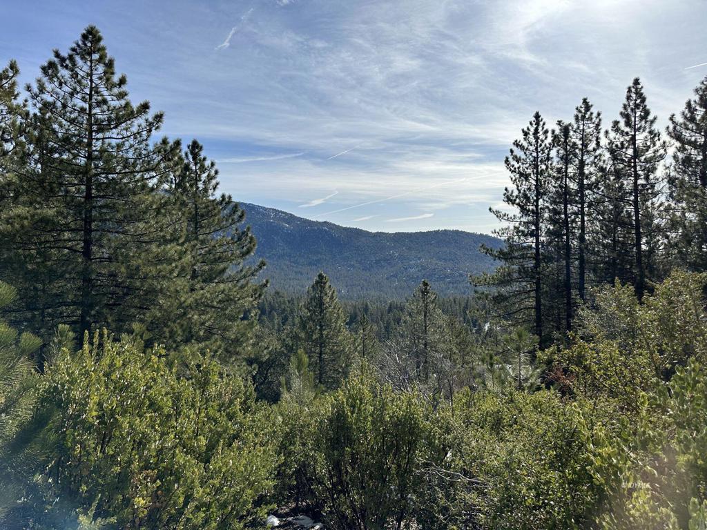 0 Big Rock Property Photo 6
