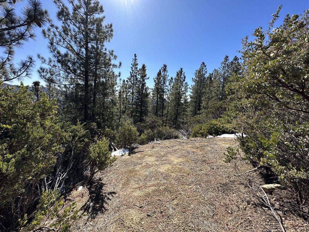 0 Big Rock Property Photo 7
