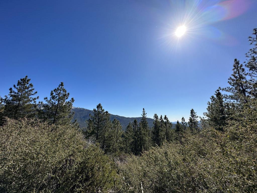 0 Big Rock Property Photo 8