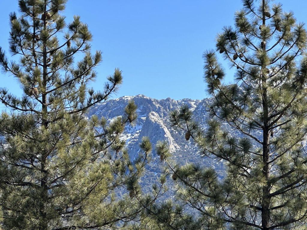 0 Big Rock Property Photo 9
