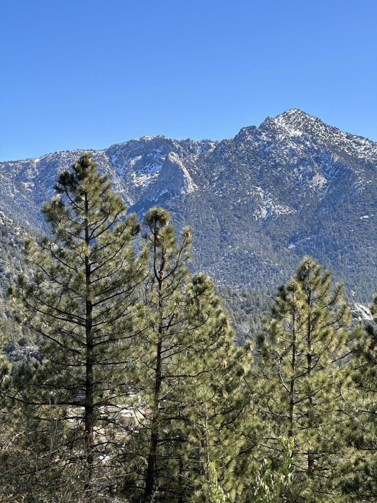 0 Big Rock Property Photo 11