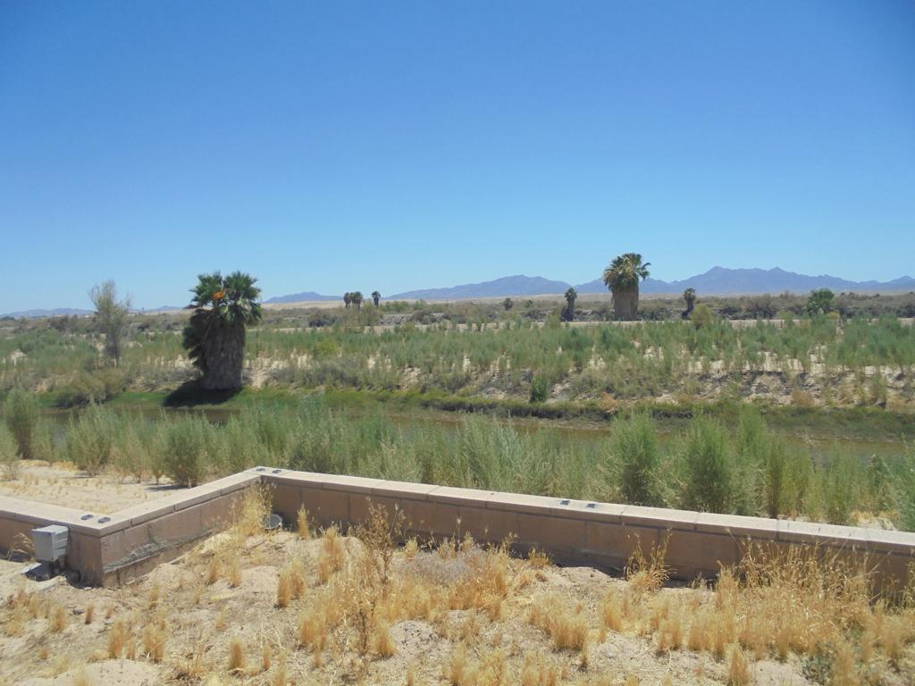 1556 Riviera Drive Property Photo 3
