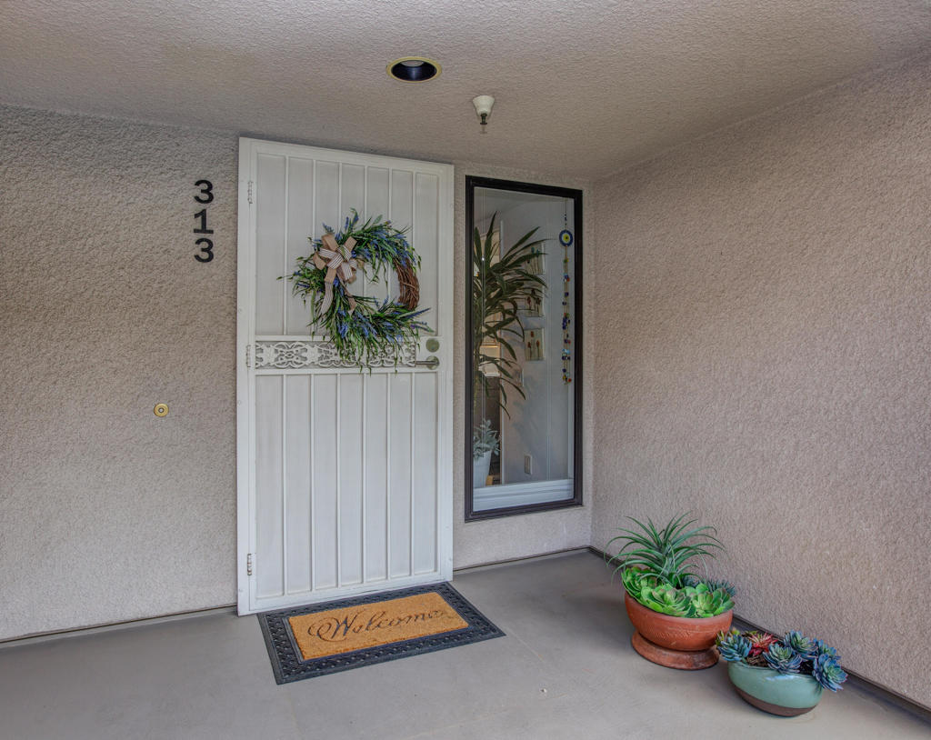 255 S Avenida Caballeros 313 Property Photo 1