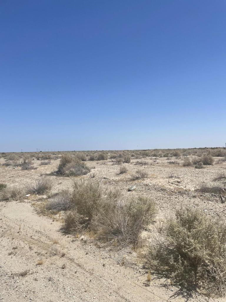 817 Salton Drive Property Photo 3