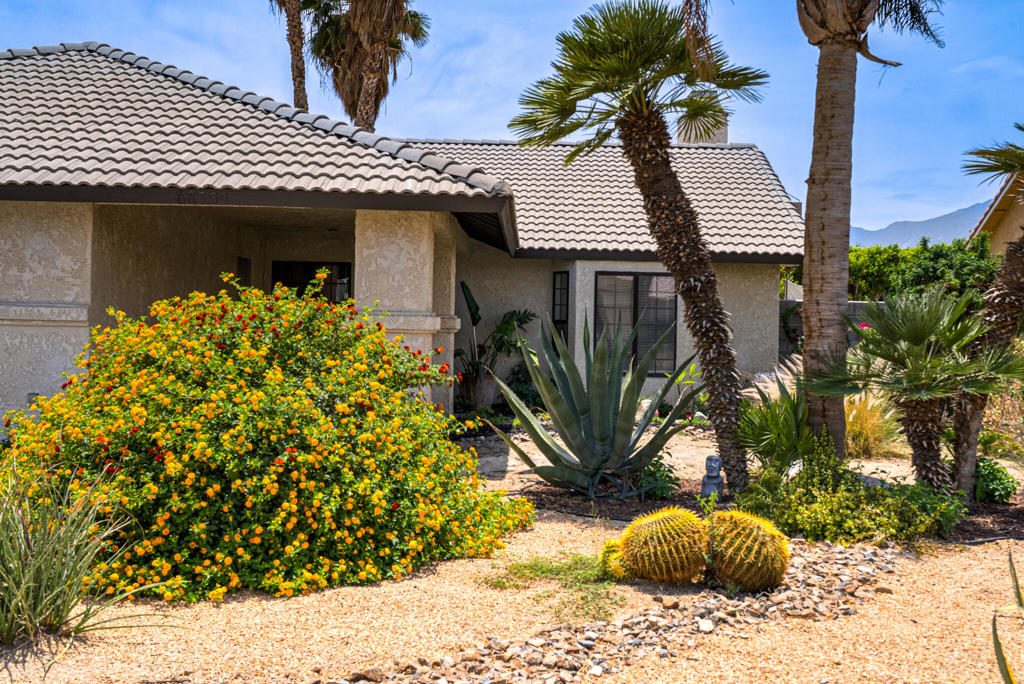 68355 Espada Road Property Photo 36