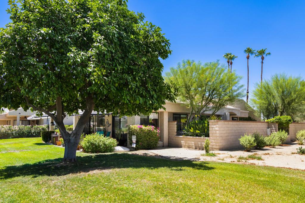 7591 Calle Mazamitla Property Photo 40