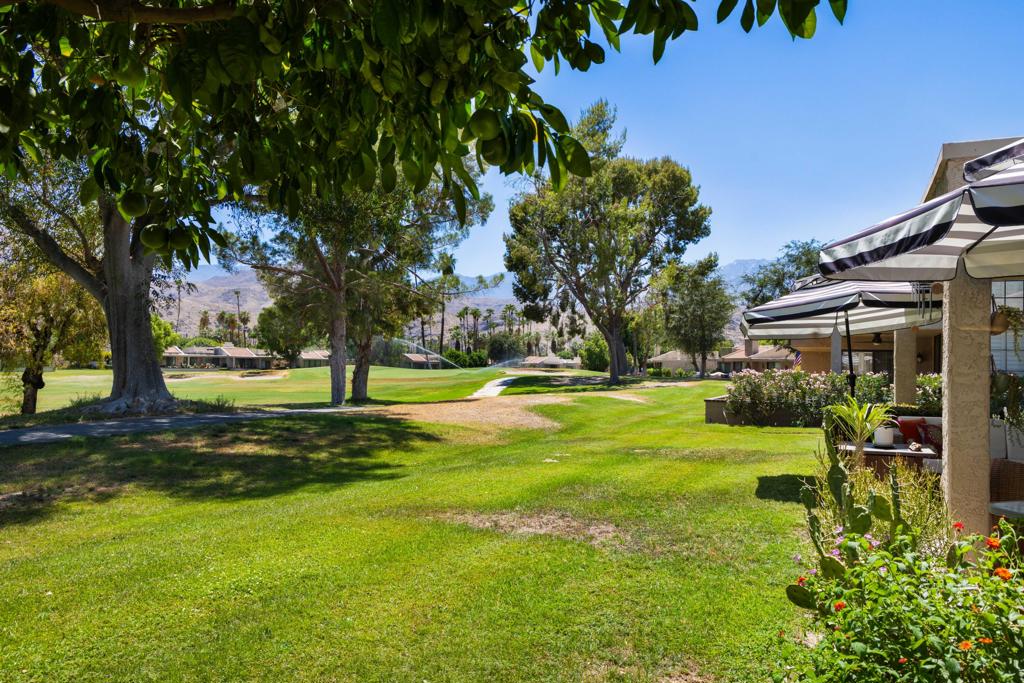 7591 Calle Mazamitla Property Photo 43