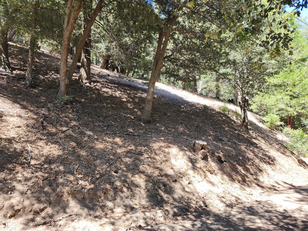 0 Burnt Mill Canyon Road Property Photo 2