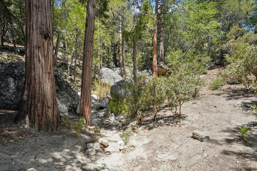 25425 Skyline Way Property Photo 43