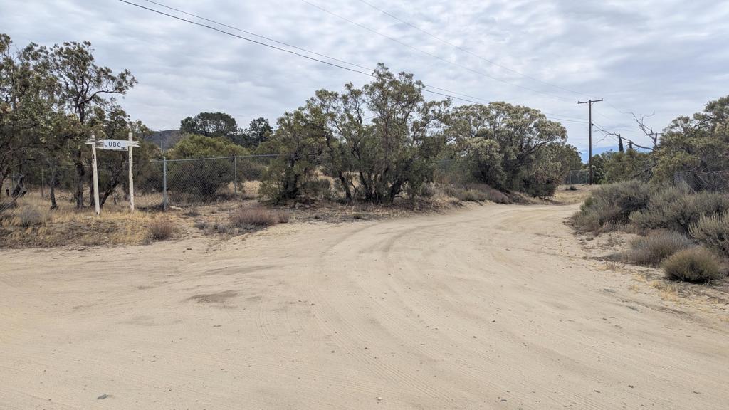 56471 Lubo Trail Property Photo 37