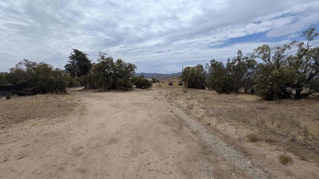 56471 Lubo Trail Property Photo 41
