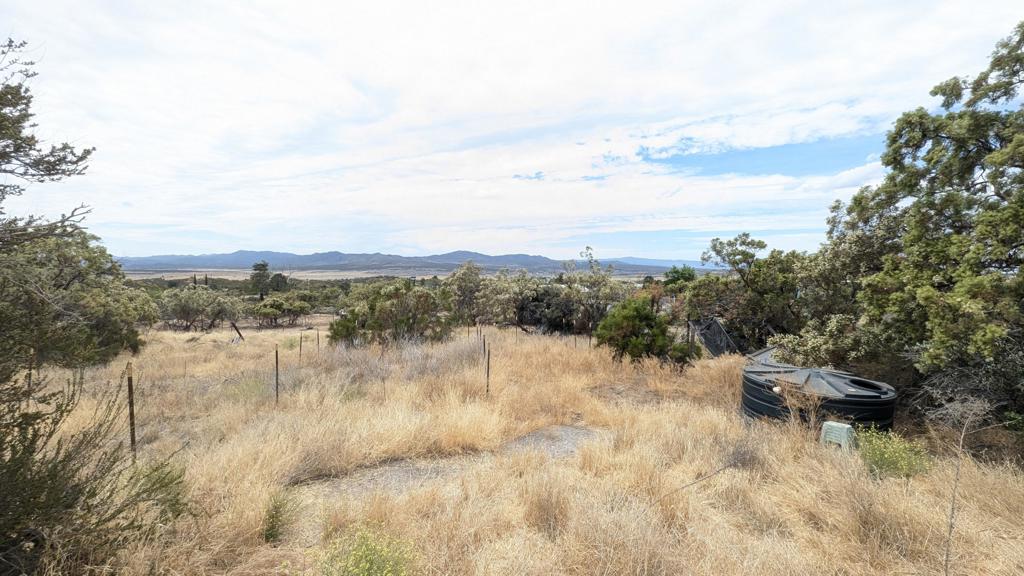 56471 Lubo Trail Property Photo 43