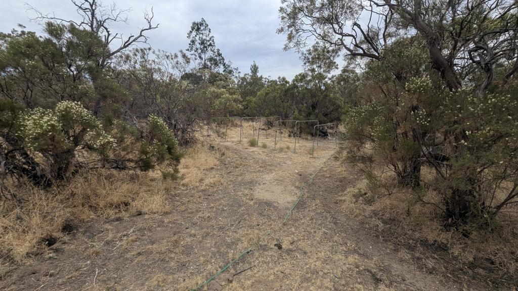 56471 Lubo Trail Property Photo 51