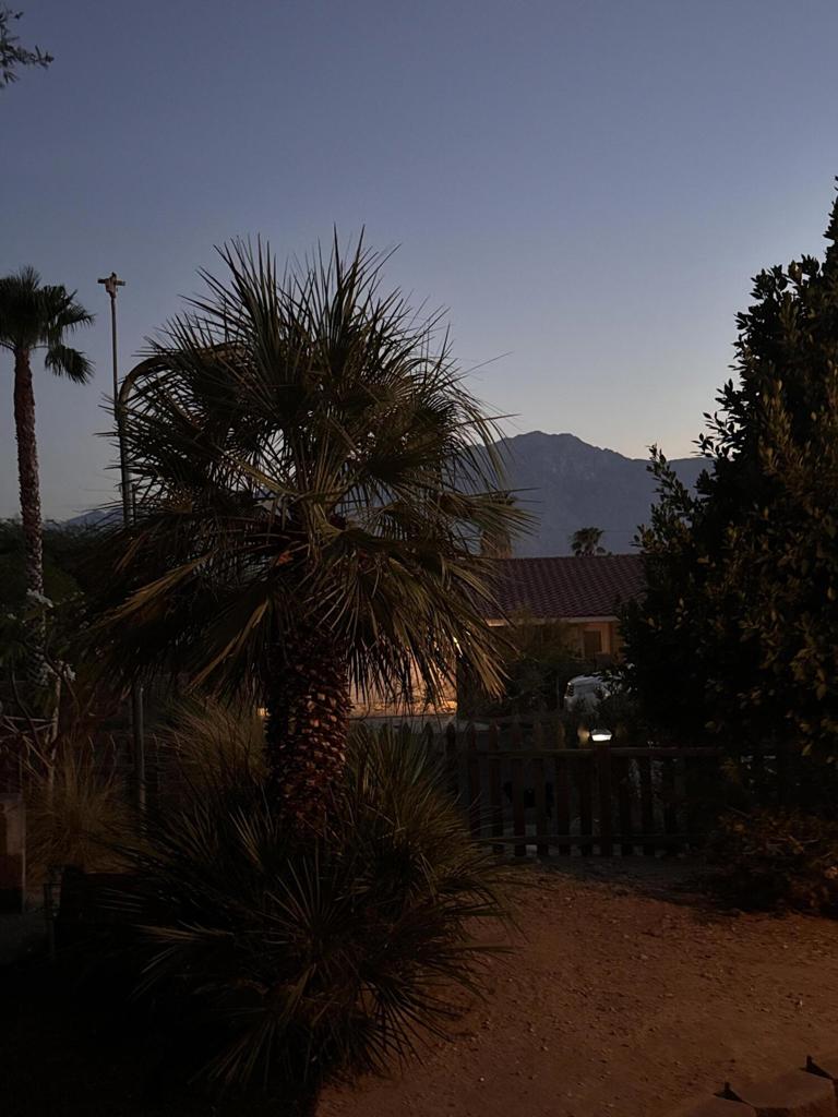 66656 San Marcus Road Property Photo 15