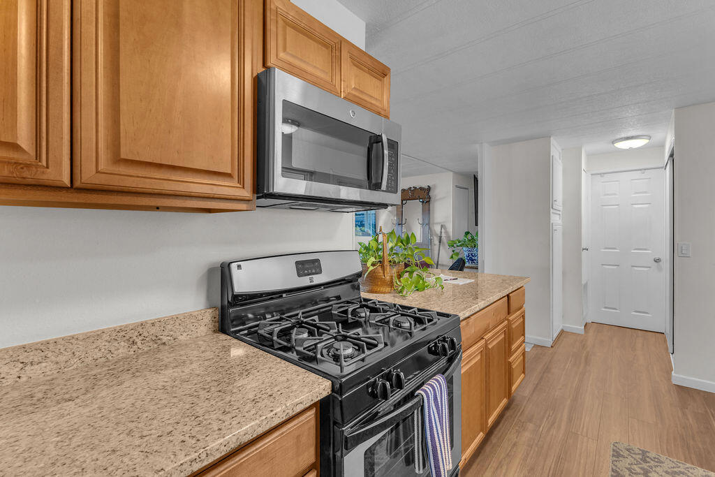 1251 Via Benicia Property Photo 27