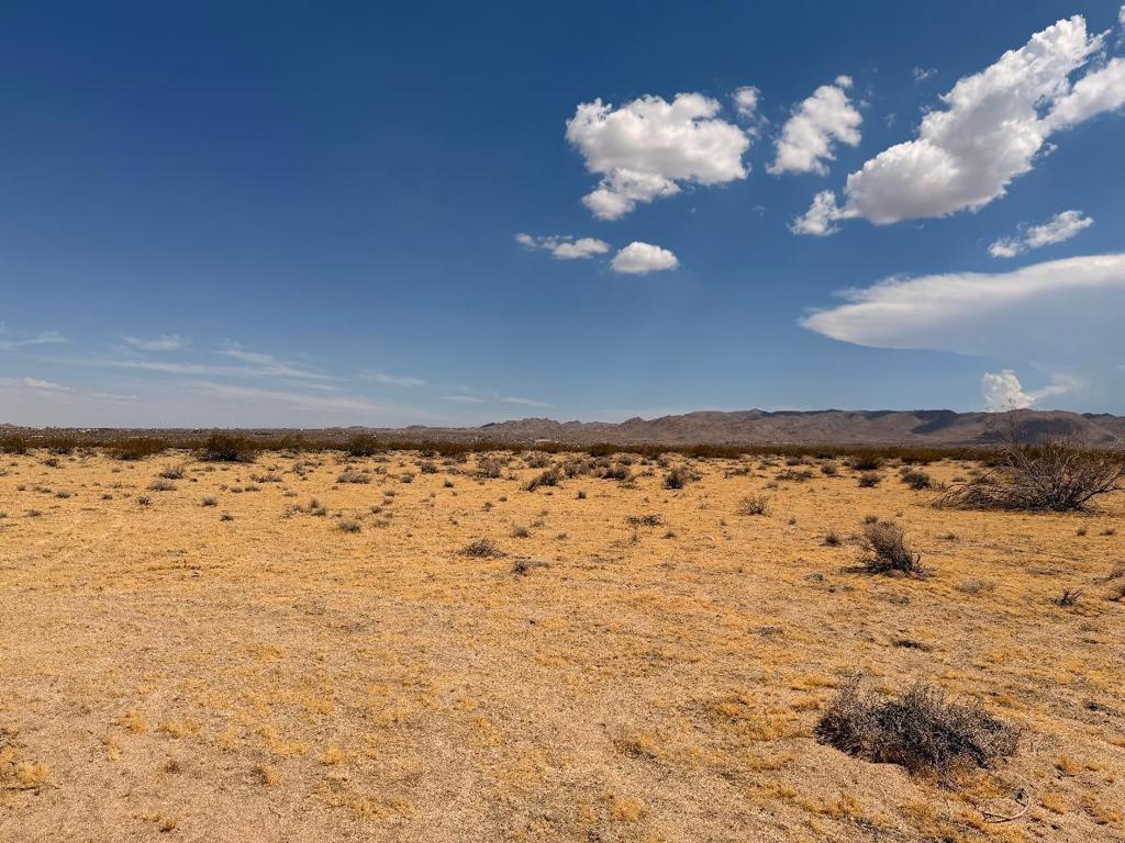 5 Brody Property Photo 2