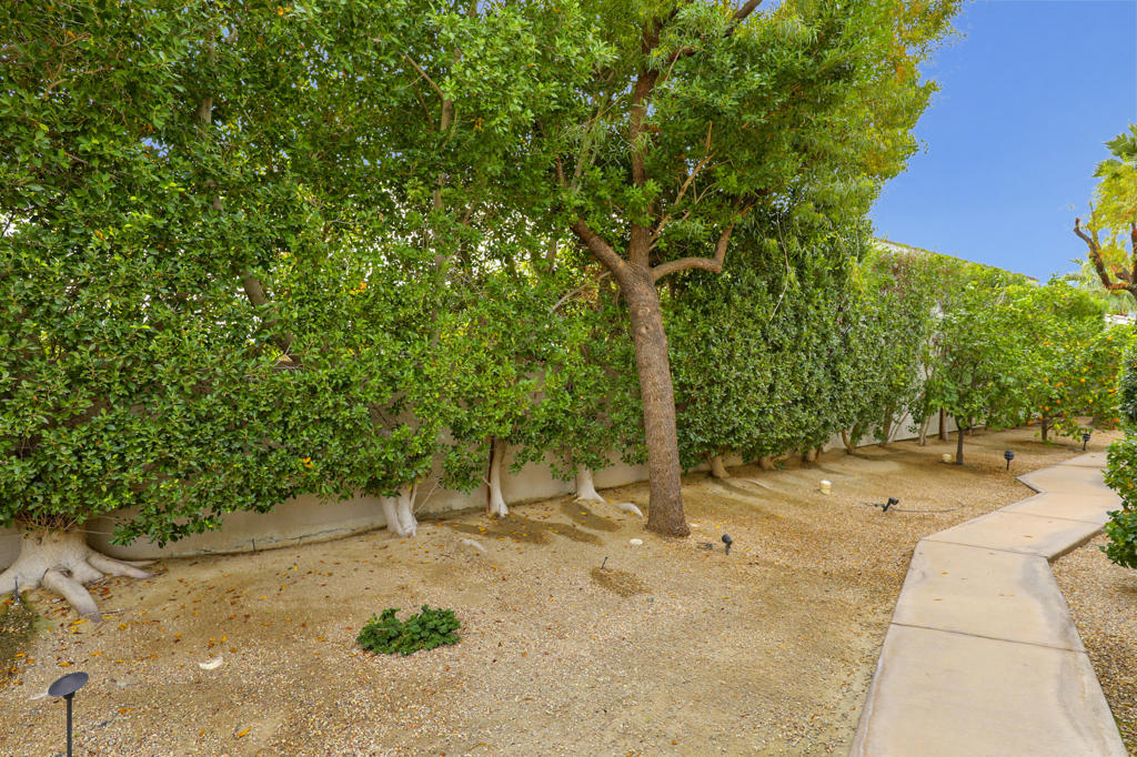 51350 Via Sorrento Property Photo 40