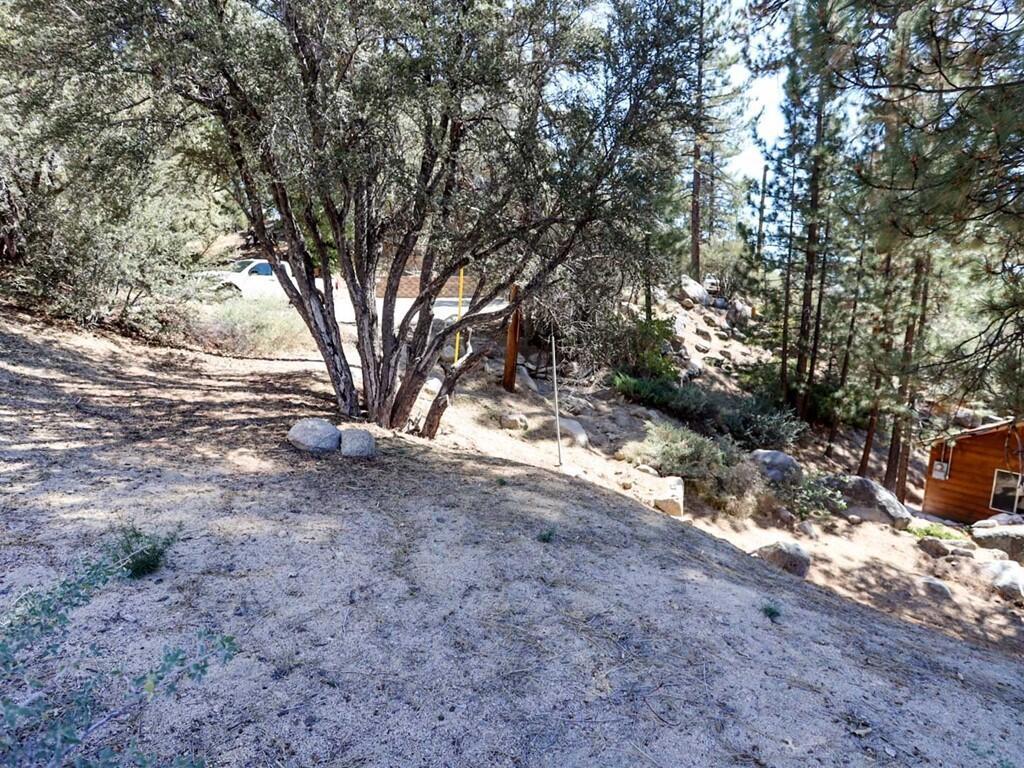 0 Cedar Dell Road Property Photo 11