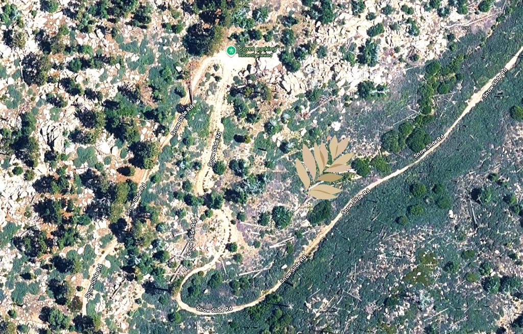 Off Rim Of The World Drive Property Photo 16