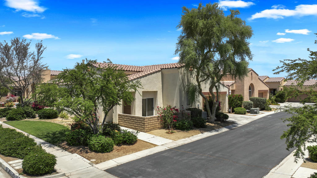 47788 Dancing Butterfly Property Photo 1