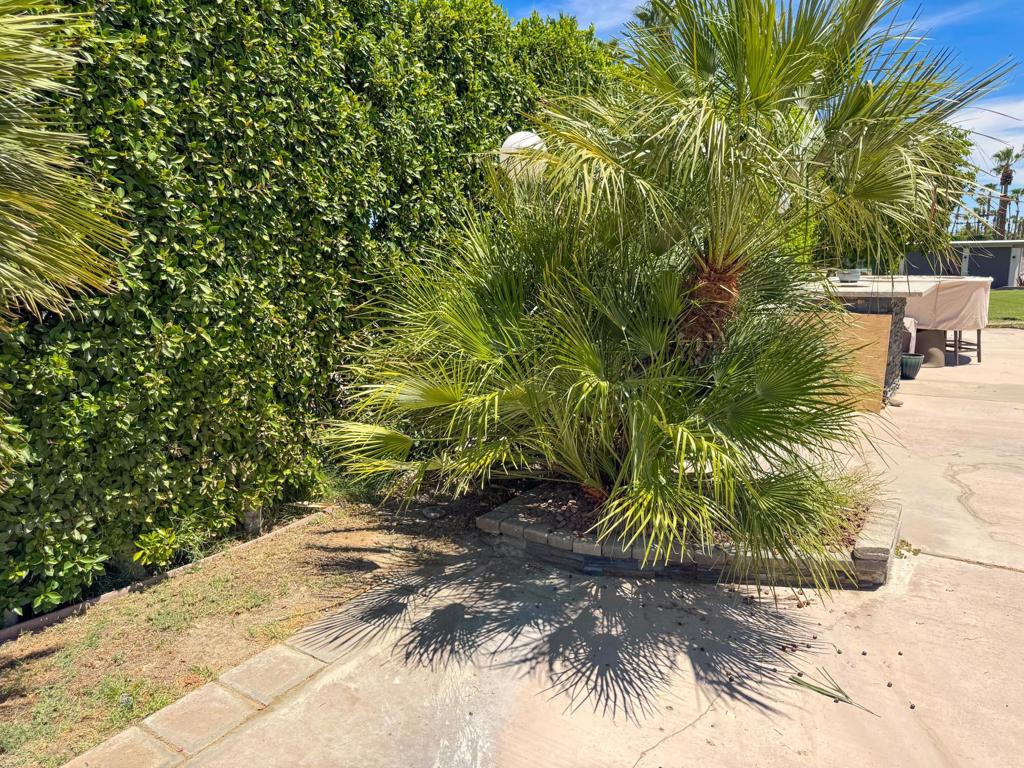 80394 Ave 48 423 Property Photo 7