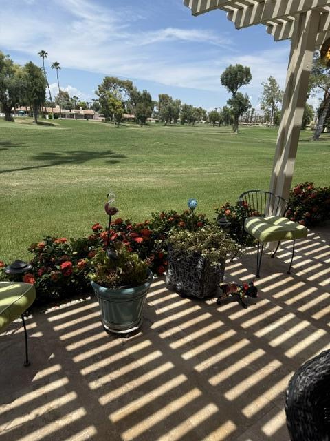 35983 E Paseo Circulo E Property Photo 37