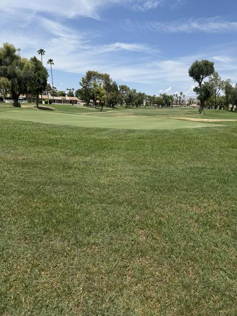 35983 E Paseo Circulo E Property Photo 38