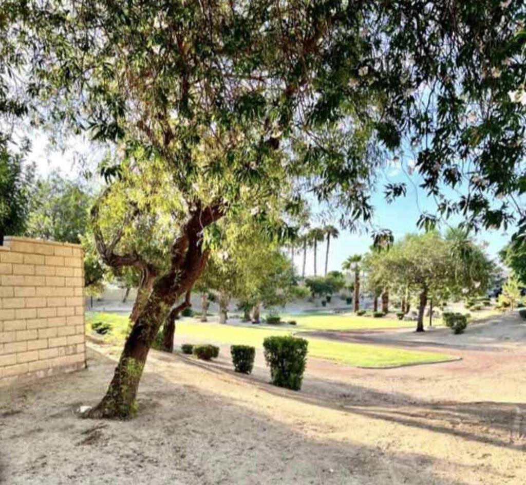 83303 Camino Las Brisas Property Photo 39
