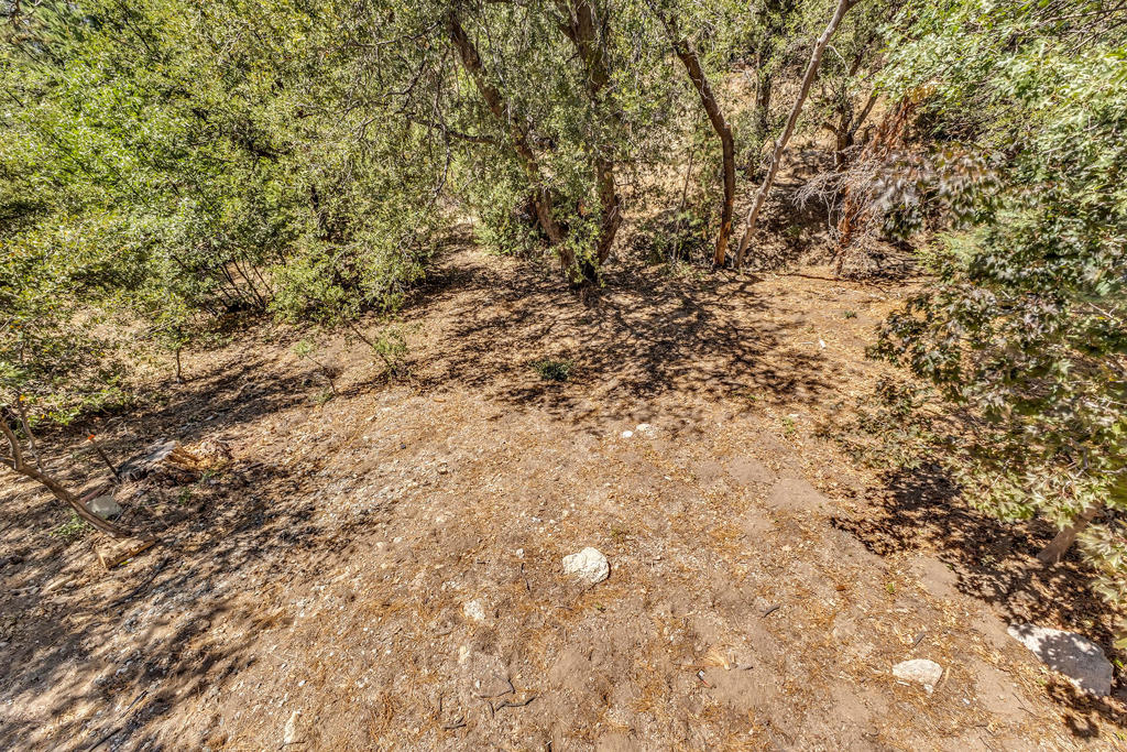 24701 Schaffer Drive Property Photo 28