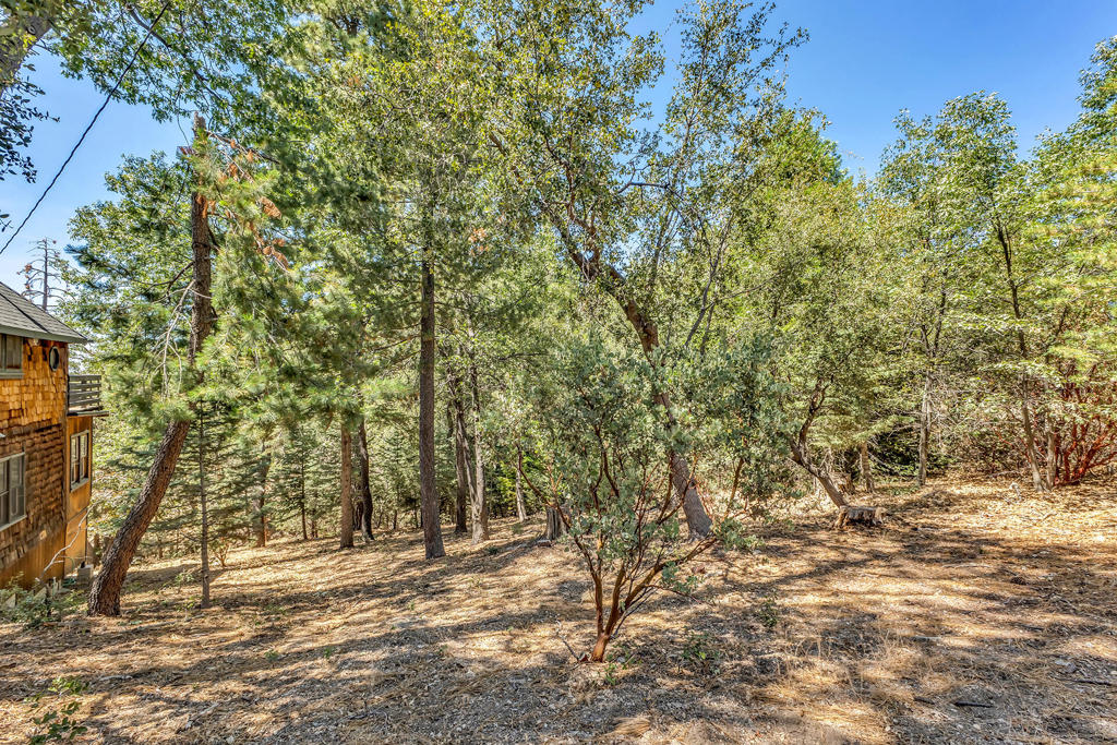 24701 Schaffer Drive Property Photo 29