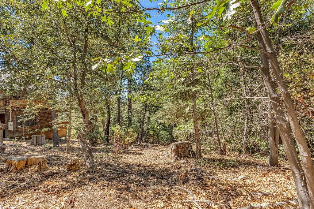 24701 Schaffer Drive Property Photo 30