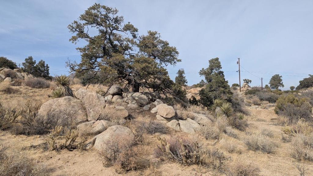 Lot 84 Mountain Park Road Property Photo 9