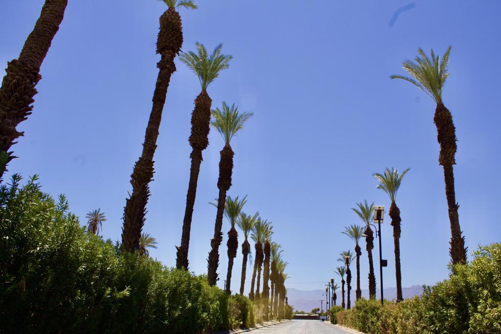 80870 California 111 93 Property Photo 28
