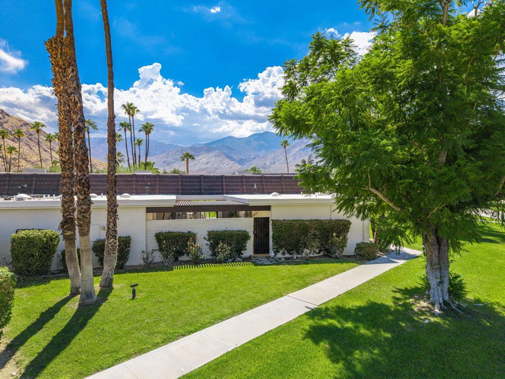 2515 E Jacaranda Road Property Photo 3