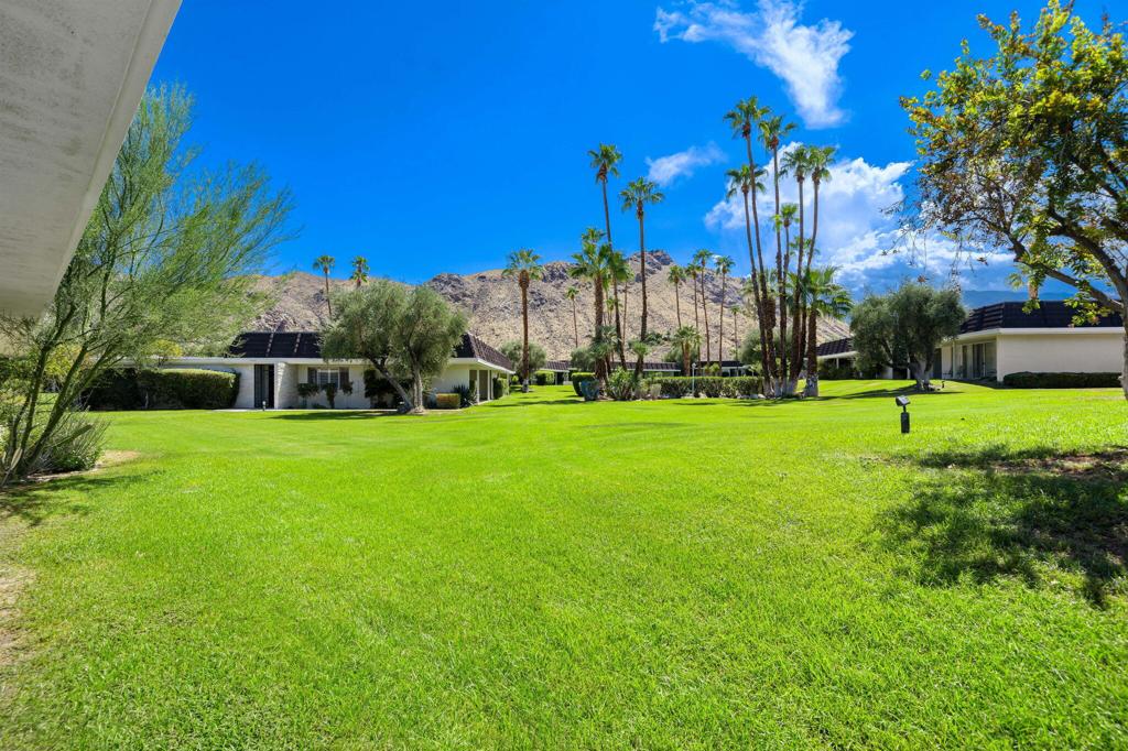 2515 E Jacaranda Road Property Photo 15