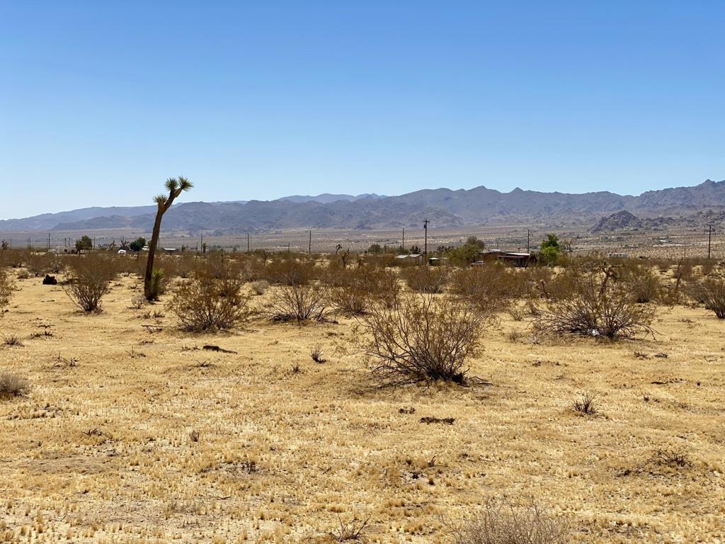 109 Border Avenue Property Photo 6