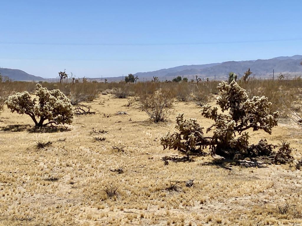 109 Border Avenue Property Photo 15