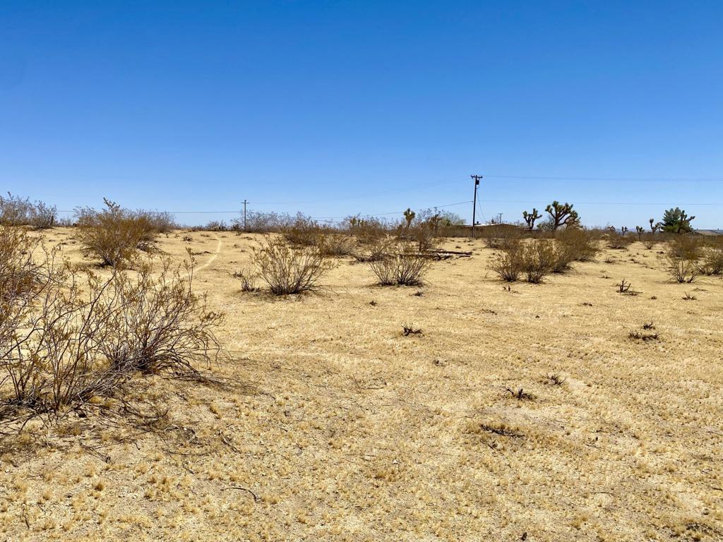 109 Border Avenue Property Photo 36