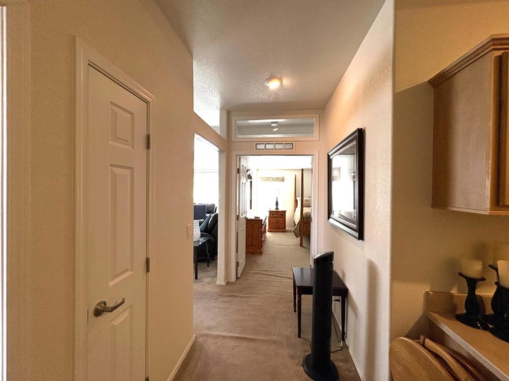 39071 Cudy Circle Property Photo 15