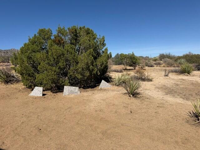 0 Alpine Drive Property Photo 6