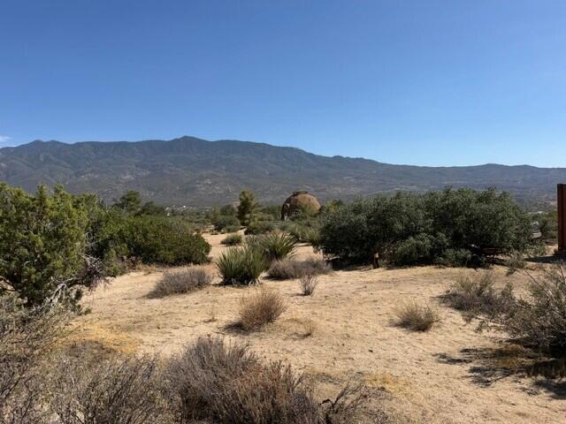 0 Alpine Drive Property Photo 8