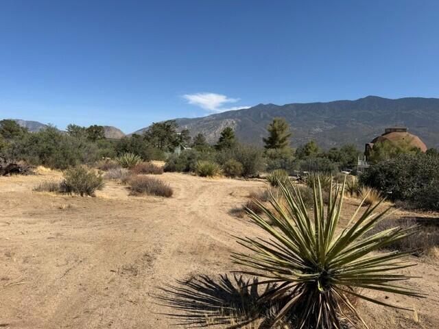 0 Alpine Drive Property Photo 12