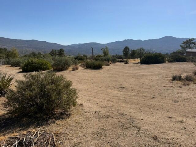 0 Alpine Drive Property Photo 18