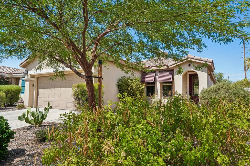 80450 Avenida Linda Vista Property Photo 2