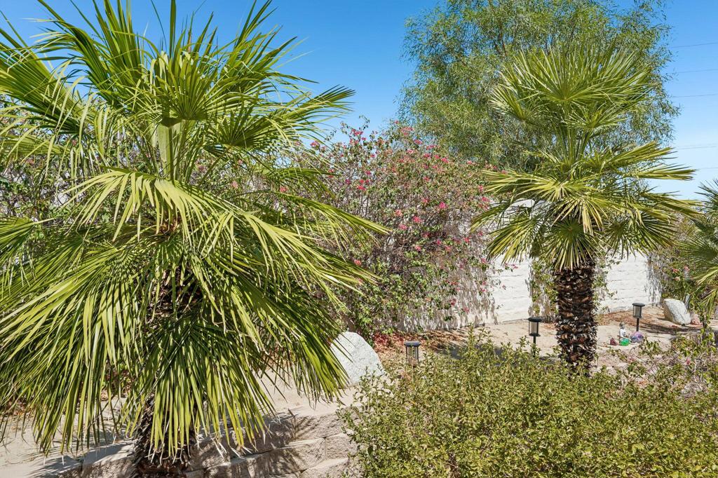 80450 Avenida Linda Vista Property Photo 36