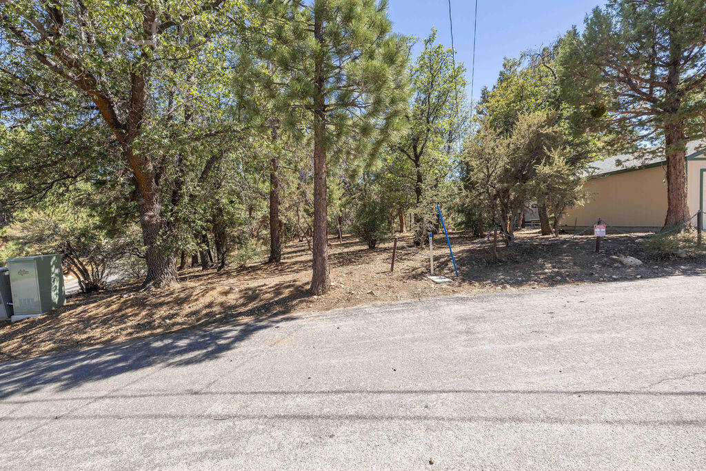 0 Plumas Court Property Photo 1