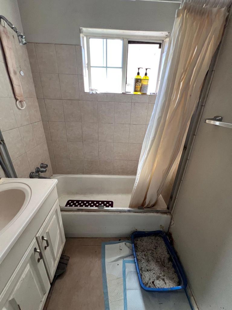 66553 Estrella Avenue Property Photo 18